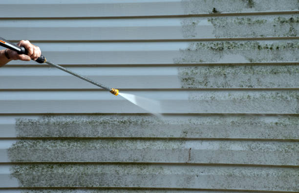 Best Best Pressure Washing Companies  in Justice, IL